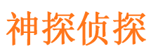 广河侦探社